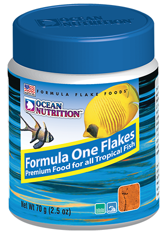 Ocean Nutrition Formula One Flake 34g